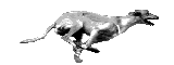 Running Dog