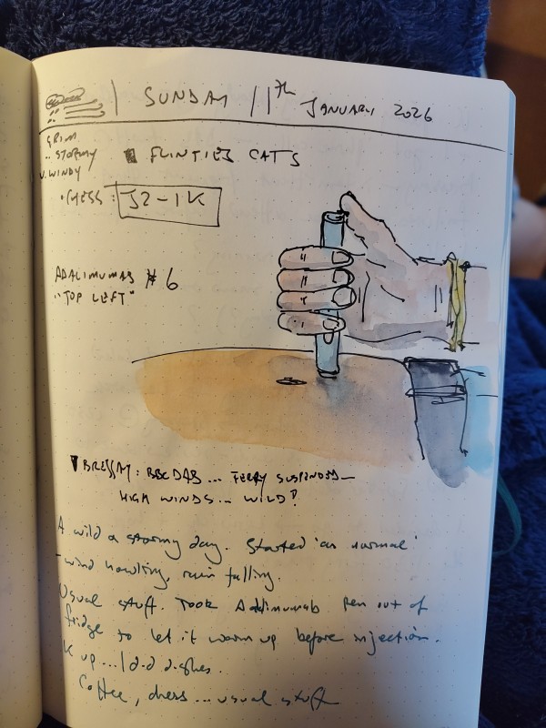 my 2-weekly injection